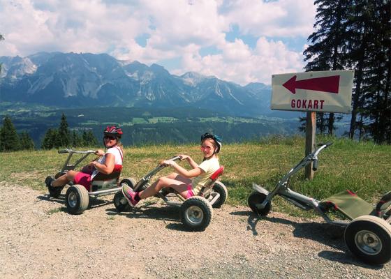 Gokart